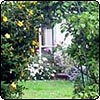  Crab-apple Arch 