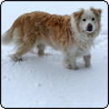 2011 July Week 4 - Snow!