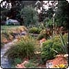 Dog-Path Garden
