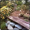  Dog-Path Garden Bench 