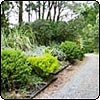  Driveway Garden Border 
