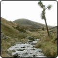  Dry Acheron Stream Track 