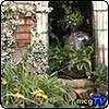 Enchanted Tower Garden
