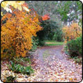 Down the Driveway