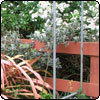 Spring Flowering Shrubs