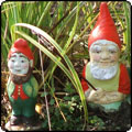 Gnomes Fishing 