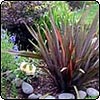  Corner Border Flax 