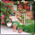 Hamilton's Front Yard Gardens