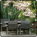 Garden Dining Furniture