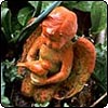 Garden Angel
