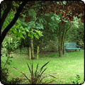 Driveway Lawn Garden Bench