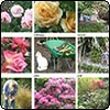  Garden Calendar 2009 