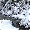 Snow in 2006