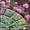 Garden Website History