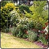 Garden Lawn Rose Arch