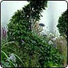 Garden Path & Border