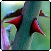 July