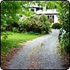 Garden Tree Arch