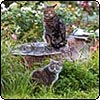 Garden Tree Stumpy Cats