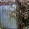The Garden Wood Shed