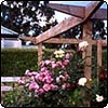 Garden Rose Pergola