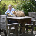 Pond Decking Garden Furniture
