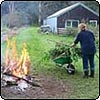  Gardening Guilt 