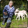  2010's Pet Lambs 