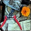 Garden Tools & Accessories