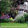  Glass-House Garden 