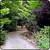 Trees and Borders