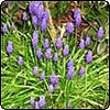 Spring Holidays - 1