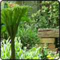  Wattle Woods Garden Bench 
