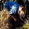 The Head Gardener Gardening