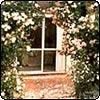 House Rose Arch