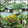 House in the Trees