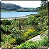 Inverewe Gardens