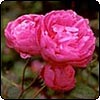John Clare