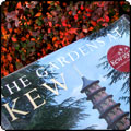The Gardens at Kew