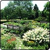  Dream Gardens 