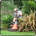 Mowing the Lawns