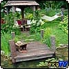 Lazy Days Water Garden