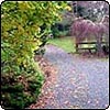 Gravel Driveway