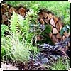 Log Pile Border