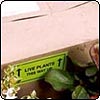 Mail Order Plants