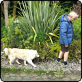  Dog-Path Garden Path 