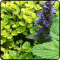  2010 October Week 3 - More 