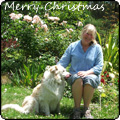 2011 December Christmas