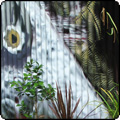  Tricky Tips for Garden Perfection 