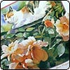  Nancy Tichbourne's Flowers 